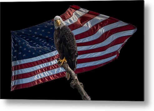 Eagle Metal Print featuring the photograph America's Eagle by Holden The Moment