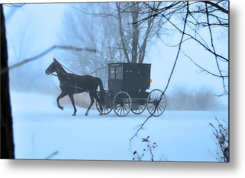 Dreamscape Metal Print featuring the photograph Amish Dreamscape by David Arment