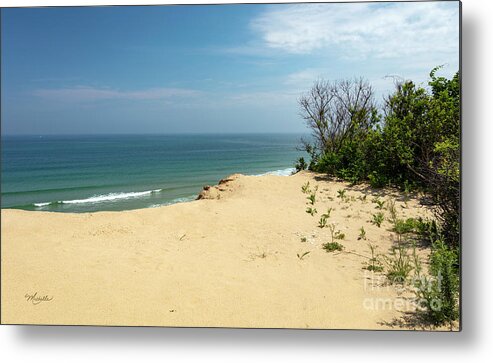 Atlantic Lookout Metal Print featuring the photograph Atlantic Lookout by Michelle Constantine