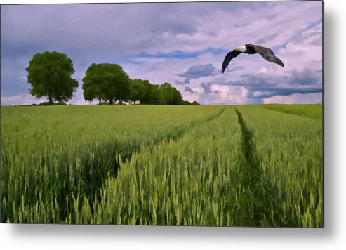 Eagle Metal Print featuring the photograph Big Sky by David Dehner