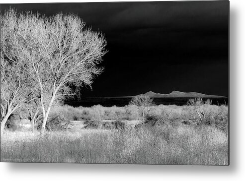 Infrared Metal Print featuring the photograph Bosque del Apache - Infrared by Britt Runyon