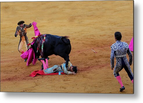 Bullfighting Metal Print featuring the photograph Bullfighting 30 by Andrew Fare