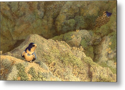 Swallow Metal Print featuring the painting Come No Further by Marc Dmytryshyn
