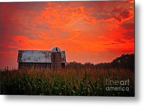 Ludington Michigan Metal Print featuring the photograph Corn by Randall Cogle