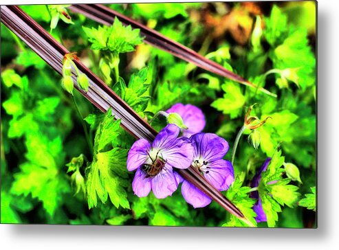 Flowers Metal Print featuring the photograph Delicate Chopsticks by Cate Franklyn