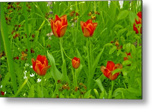 Film Metal Print featuring the photograph Flowers from Monet's Garden by Matthew Bamberg