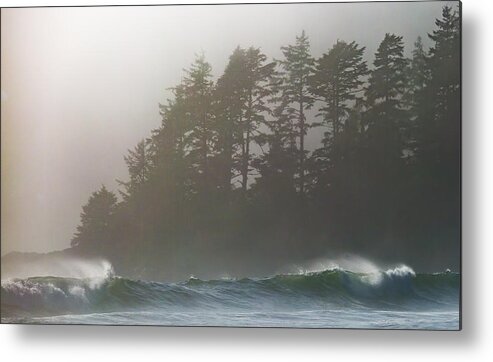 Fog Metal Print featuring the photograph Foggy Beach 2 by Randy Hall