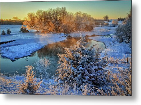 Winter Landscape Metal Print featuring the photograph Frosty Morning by Bruce Morrison