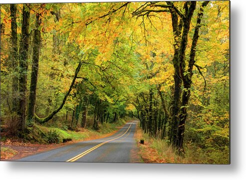 Historic Columbia River Highway Fall Colors Metal Print featuring the photograph Historic Columbia River Highway Fall Colors by Wes and Dotty Weber