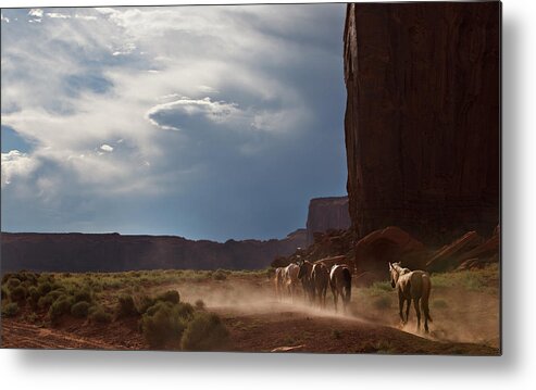 Landscape Metal Print featuring the photograph Homeward Bound by Jonas Wingfield