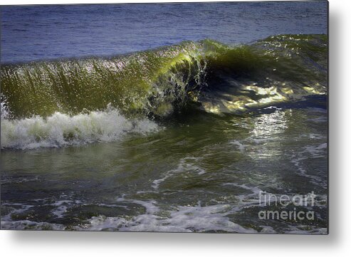 Maritime Metal Print featuring the photograph In All My Awesomeness by Skip Willits