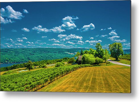 Grapes Metal Print featuring the photograph Lakeside Vineyard II by Steven Ainsworth