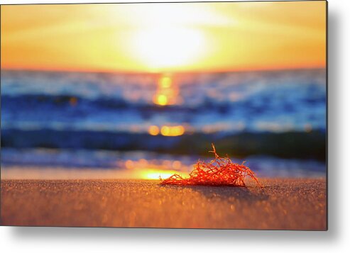 Summer Metal Print featuring the photograph Let The Sunshine In by Iryna Goodall