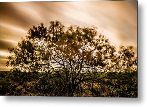 Tree Metal Print featuring the photograph Long Exposure O A Tree Near Farm Land by Alex Grichenko