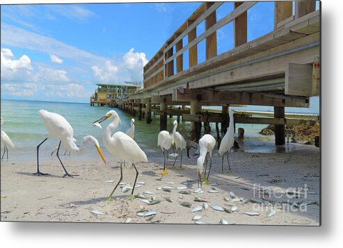 Wading Birds Metal Print featuring the photograph Lunch Time by Larry Mulvehill