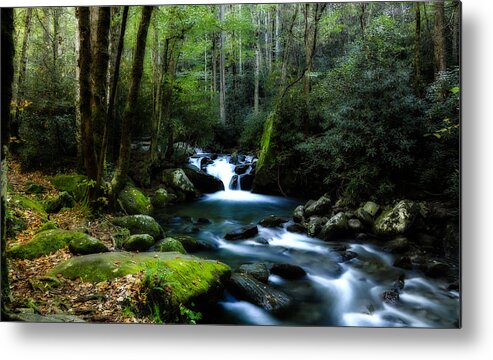 Stream Metal Print featuring the photograph Lush Forest by C Renee Martin