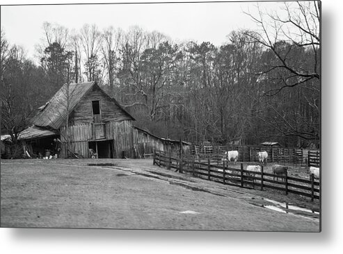 Ma Metal Print featuring the photograph Ma and Pa Kettles Farm by Douglas Barnett