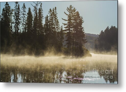 Trees Metal Print featuring the photograph Mist on Costello Lake by Jale Fancey