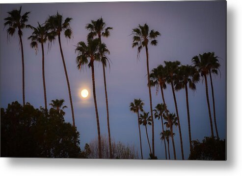 Moon Metal Print featuring the photograph Moonset Palms by Richard Cheski