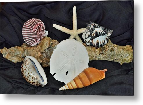 Oceans Metal Print featuring the photograph Outcasts by John Glass