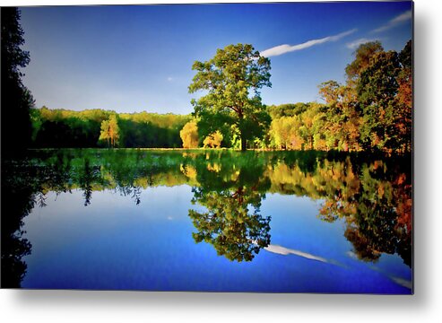 Swamp Metal Print featuring the photograph Reflecting Pond by David Henningsen