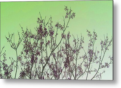 Elegant Metal Print featuring the photograph Spring Branches Mint by Marisela Mungia