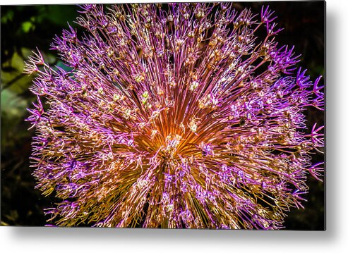 Abstract Metal Print featuring the photograph Starburst by Terry Ann Morris