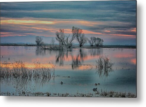 San Luis Wildlife Refuge Metal Print featuring the photograph Sunset at San Luis  by Patricia Dennis