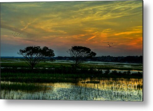 Sunset Metal Print featuring the photograph Sunset Marsh by Kathy Baccari