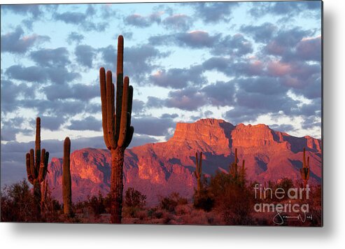 Superstition Mountains Metal Print featuring the photograph The Mountain is Pink Time to Drink, Superstitions AZ by Joanne West