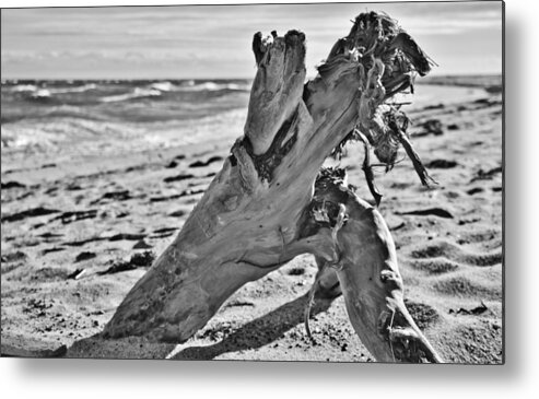 Dune Shack Metal Print featuring the photograph Washed Ashore by Marisa Geraghty Photography