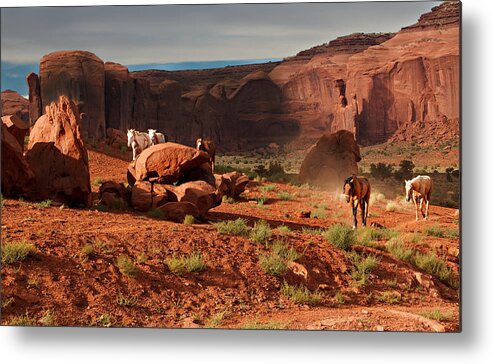 Horse Metal Print featuring the photograph Wild Horses by Jonas Wingfield