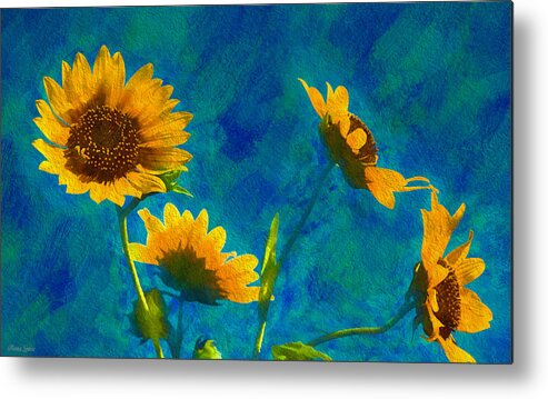 Sunflower Metal Print featuring the photograph Wild Sunflowers Singing by Anna Louise