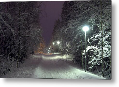 Winter Metal Print featuring the photograph Winter scene 6 by Sami Tiainen