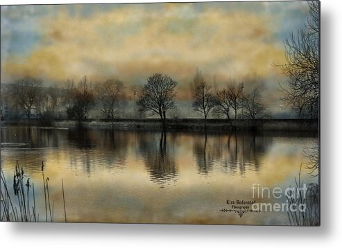 Copenhagen Metal Print featuring the photograph Winter Trees by Kira Bodensted