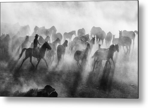 Light Metal Print featuring the photograph Wild Horses #1 by Mehmet Bedir