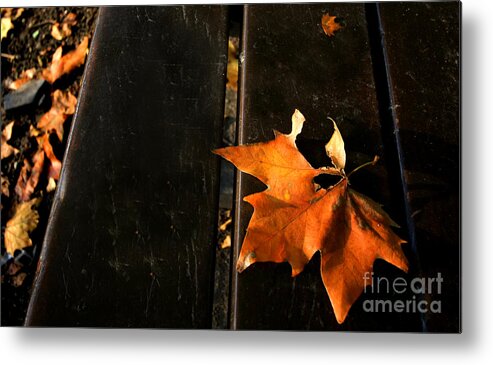 Autumn Metal Print featuring the photograph A Park Bench in Autumn by Steve Ember