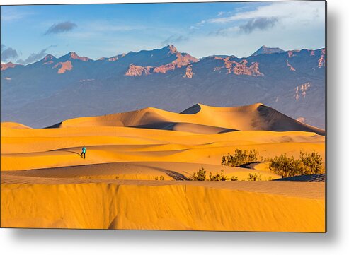Mesquite Dunes Metal Print featuring the photograph Alone On The Dunes by Ed Esposito