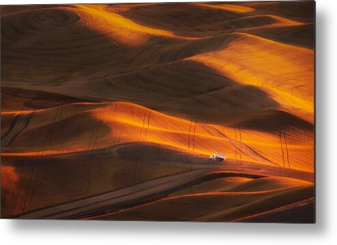 Agriculture Metal Print featuring the photograph Autumn Harvest by Hanping Xiao