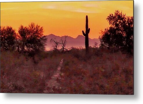 Affordable Metal Print featuring the photograph Desert Sunrise Trail by Judy Kennedy