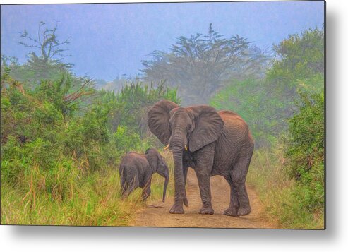 Hluhluwe National Park Metal Print featuring the photograph Early Morning Safari Surprise by Marcy Wielfaert
