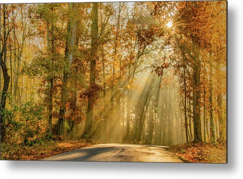 Fall Metal Print featuring the photograph Fall, Glorious Fall by Marcy Wielfaert