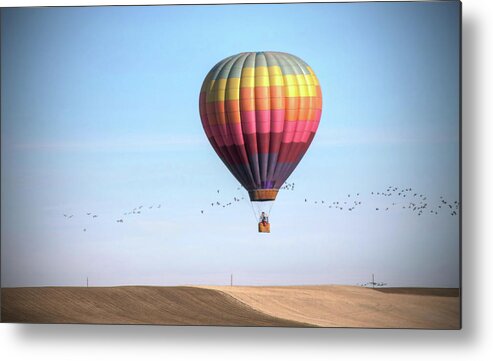 Animal Themes Metal Print featuring the photograph Hot Air Balloon And Birds by Photo By Greg Thow