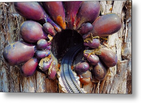 Train Metal Print featuring the photograph Into the Tunnel by Ally White