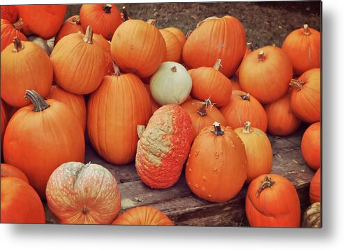 All Metal Print featuring the photograph Orange Defined by JAMART Photography