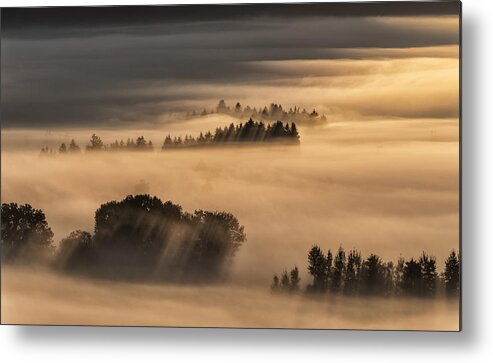 Mist Metal Print featuring the photograph Sea Of Fog... by Nina Pauli