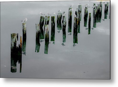 Seagulls Metal Print featuring the photograph Musical Pilings by Jeff Cooper