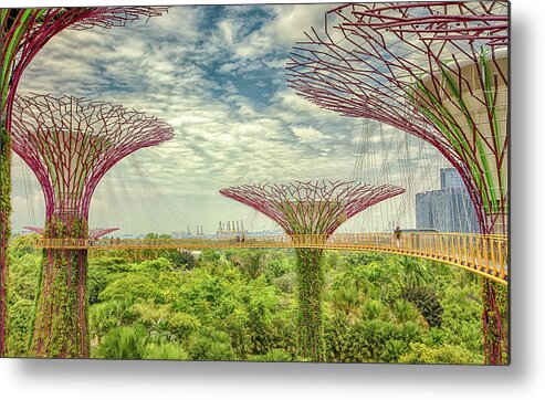 Chriscousins Metal Print featuring the photograph SuperTree Grove by Chris Cousins