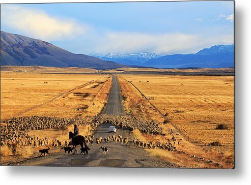 Chile Metal Print featuring the photograph Traffic Jam!! by Itamar Campos
