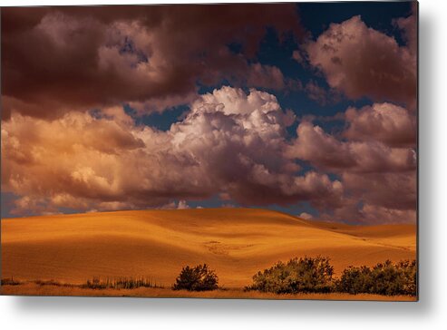 Palouse Hills Metal Print featuring the photograph Palouse Hills #1 by David Patterson